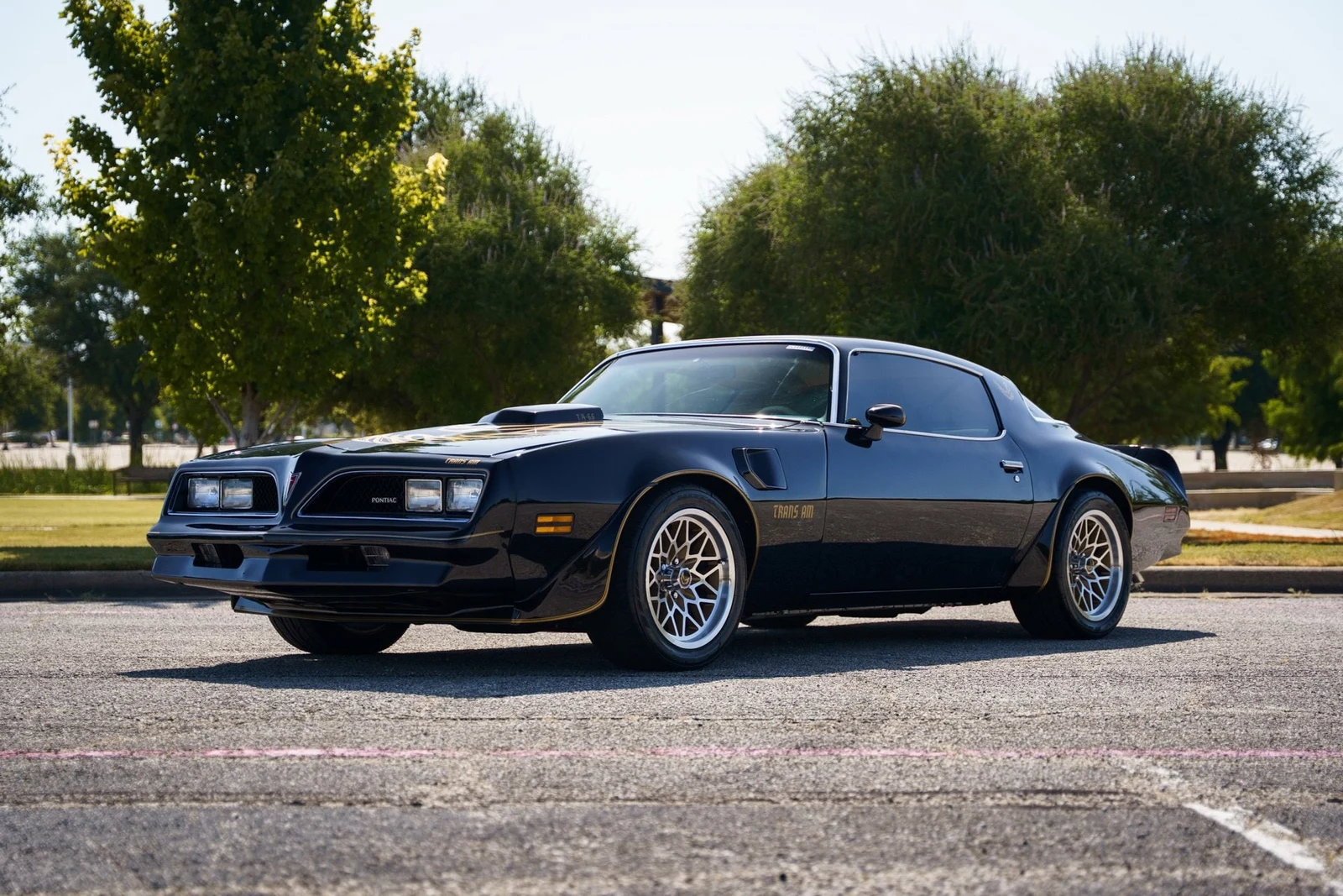 1978 Pontiac Firebird Trans Am (2nd Generation), 2/28