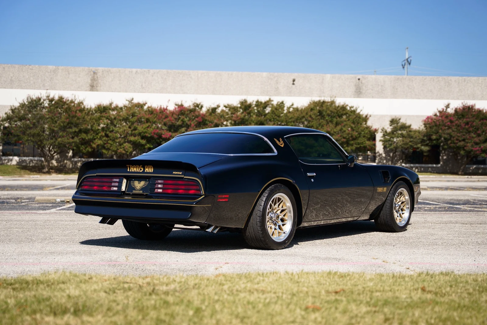 1978 Pontiac Firebird Trans Am (2nd Generation), 5/28