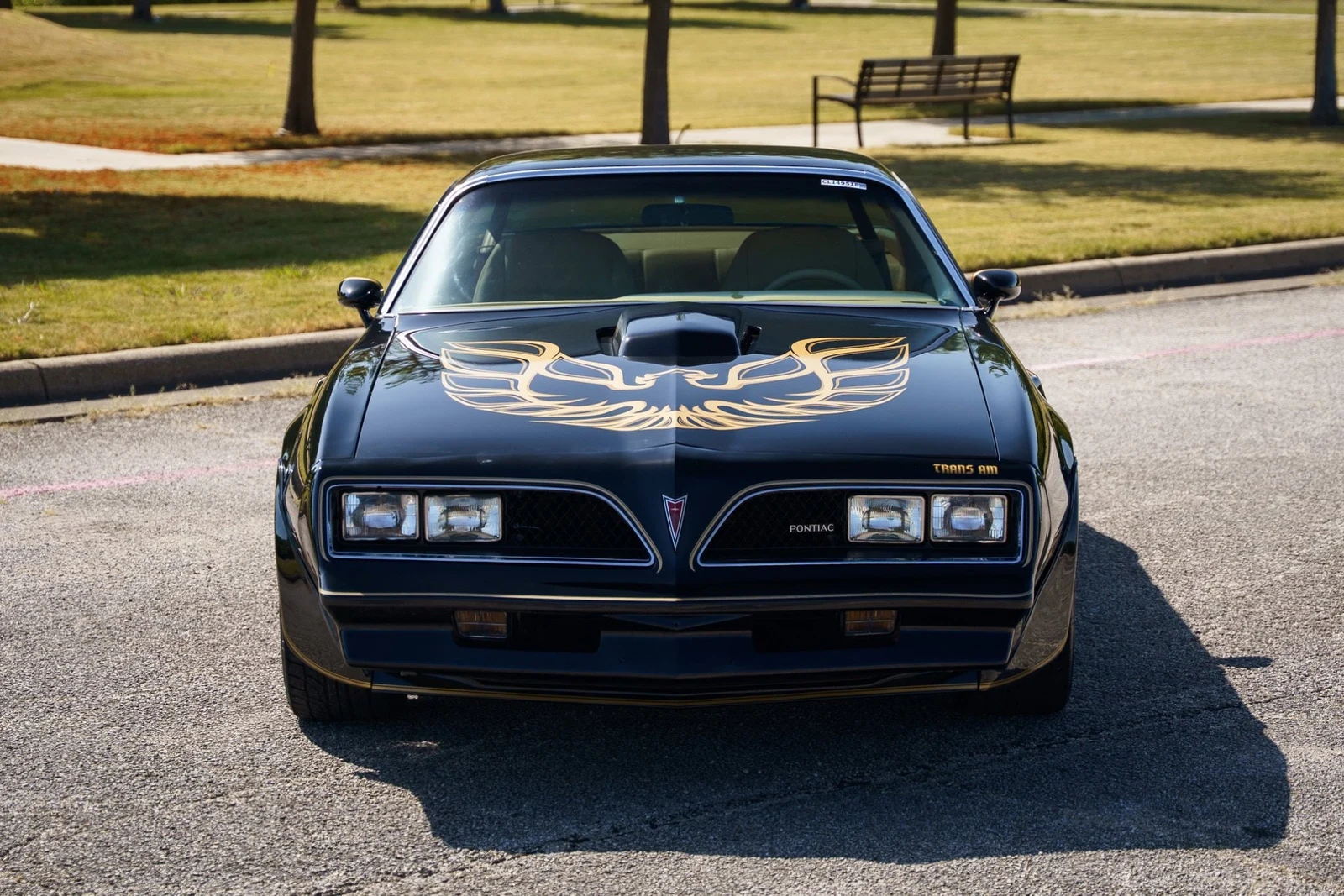 1978 Pontiac Firebird Trans Am (2nd Generation), 8/28