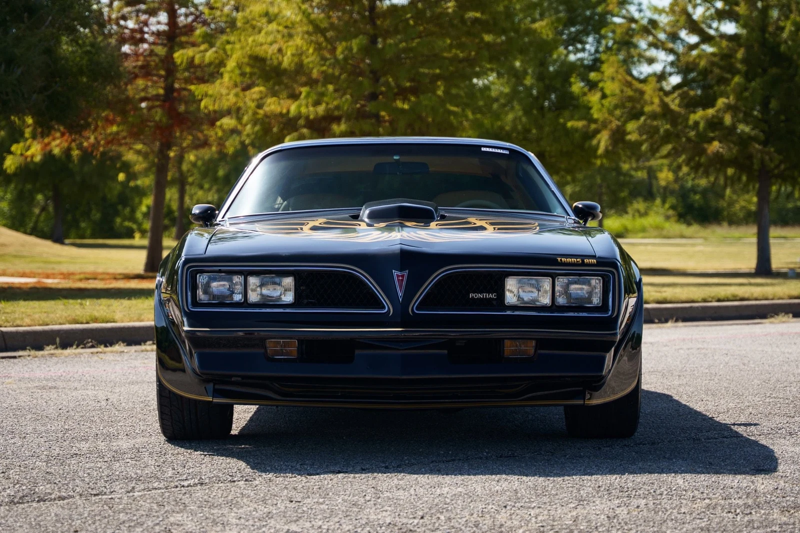1978 Pontiac Firebird Trans Am (2nd Generation), 9/28