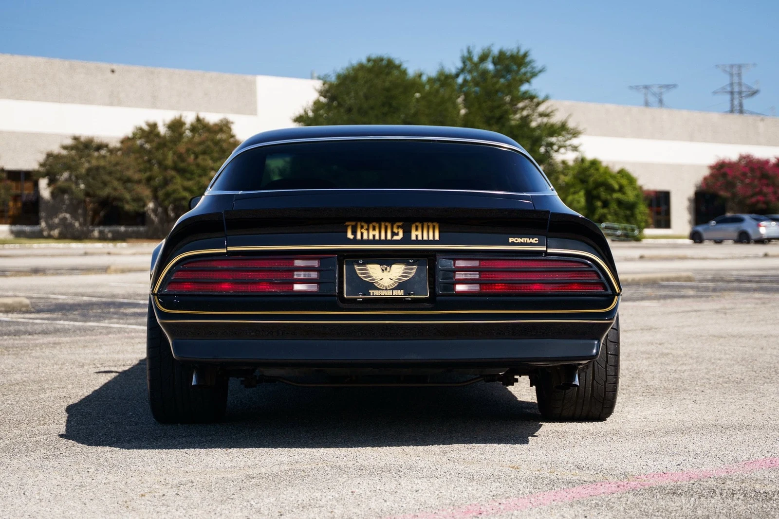 1978 Pontiac Firebird Trans Am (2nd Generation), 10/28