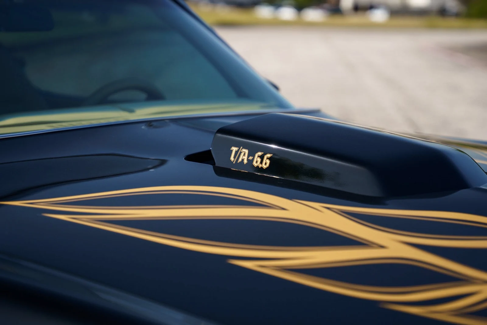 1978 Pontiac Firebird Trans Am (2nd Generation), 12/28
