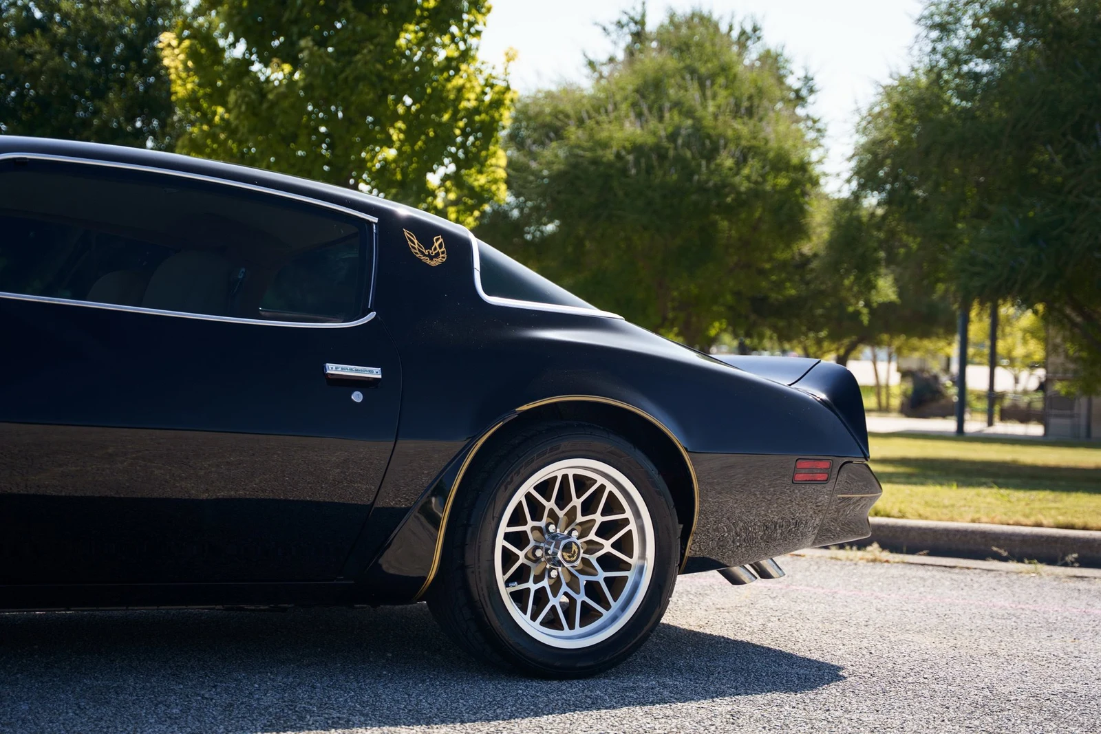 1978 Pontiac Firebird Trans Am (2nd Generation), 13/28