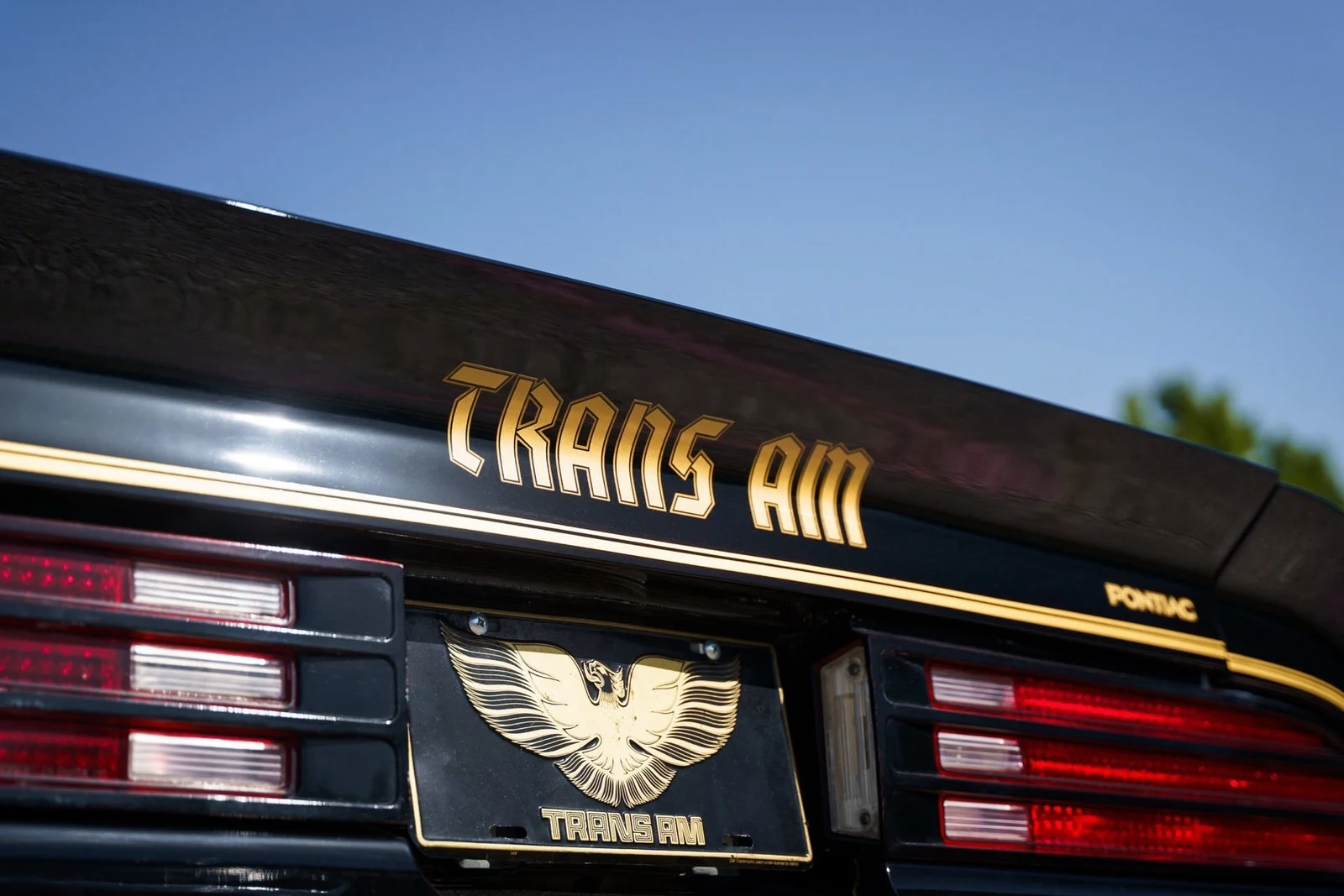 1978 Pontiac Firebird Trans Am (2nd Generation), 15/28