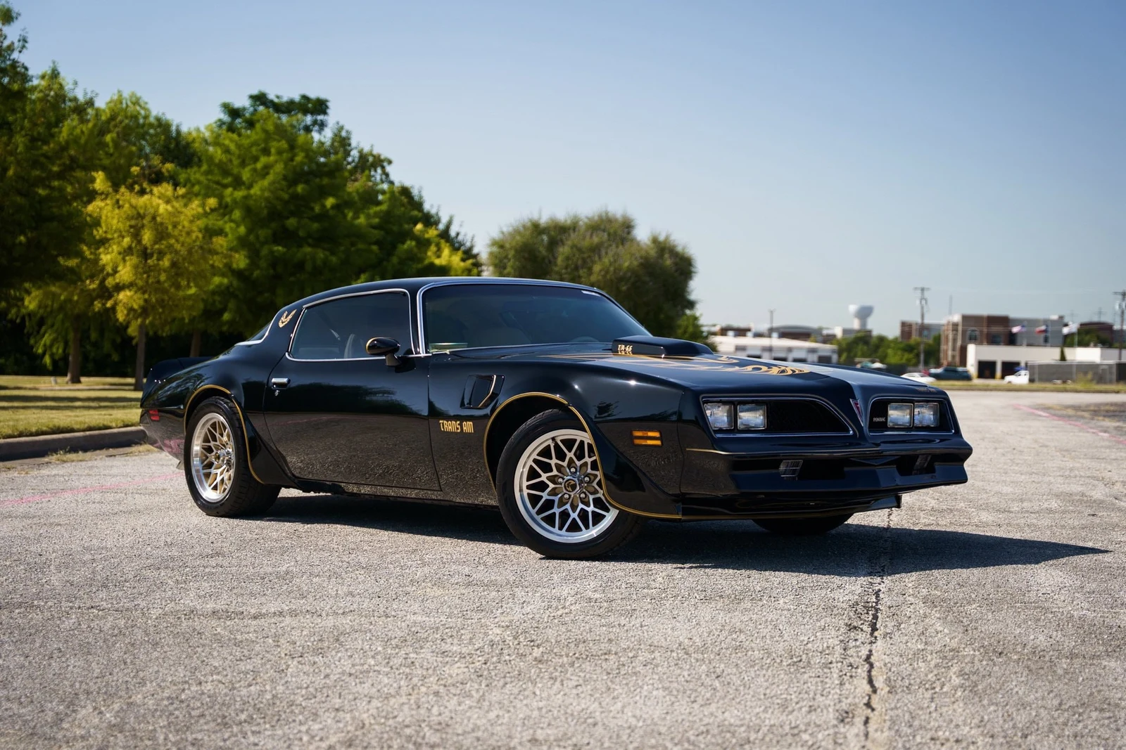 1978 Pontiac Firebird Trans Am (2nd Generation), 17/28
