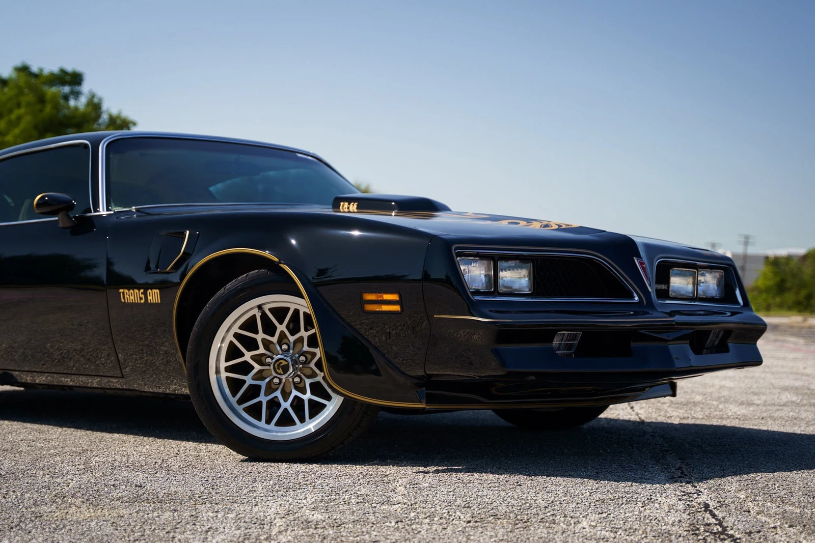 1978 Pontiac Firebird Trans Am (2nd Generation), 18/28