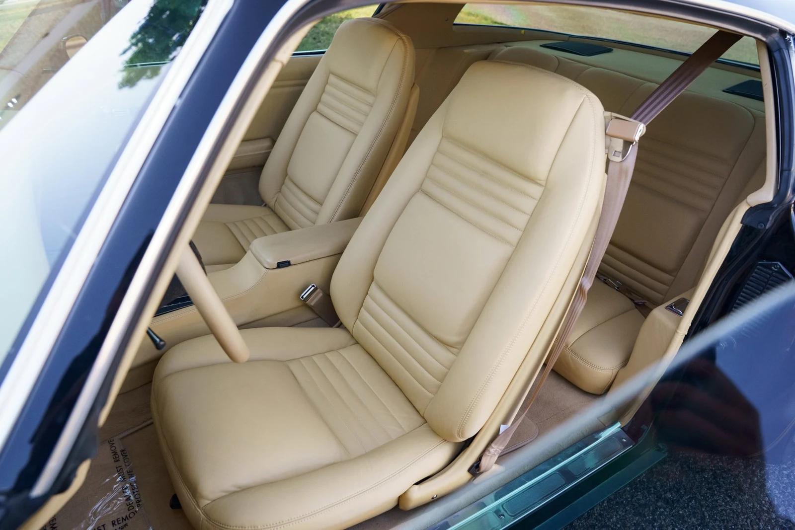 1978 Pontiac Firebird Trans Am (2nd Generation), 19/28