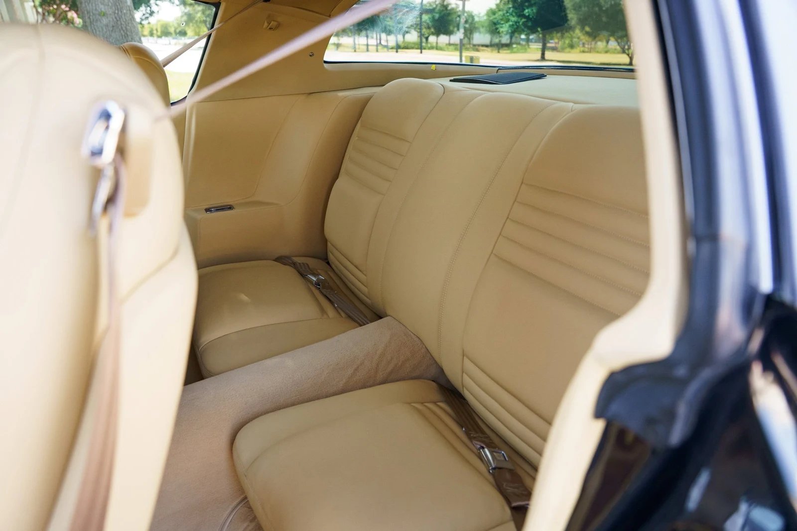 1978 Pontiac Firebird Trans Am (2nd Generation), 20/28