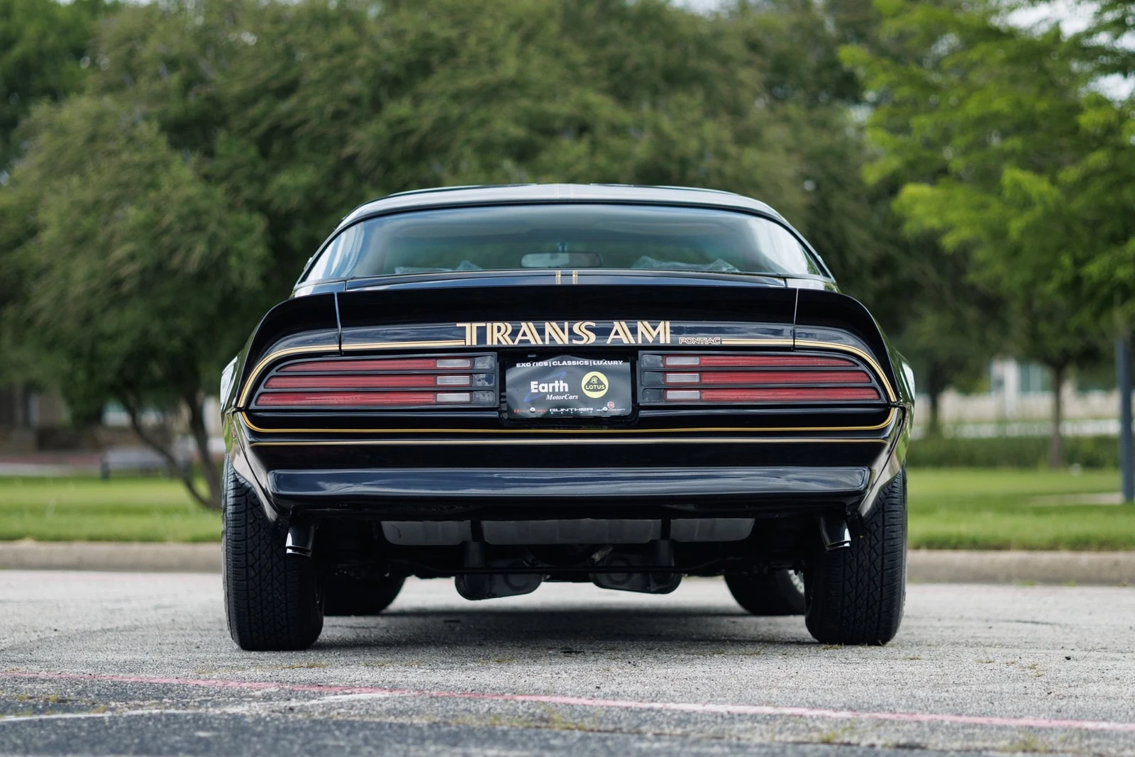 1978 Pontiac Firebird Trans Am (2nd Generation), 13/30