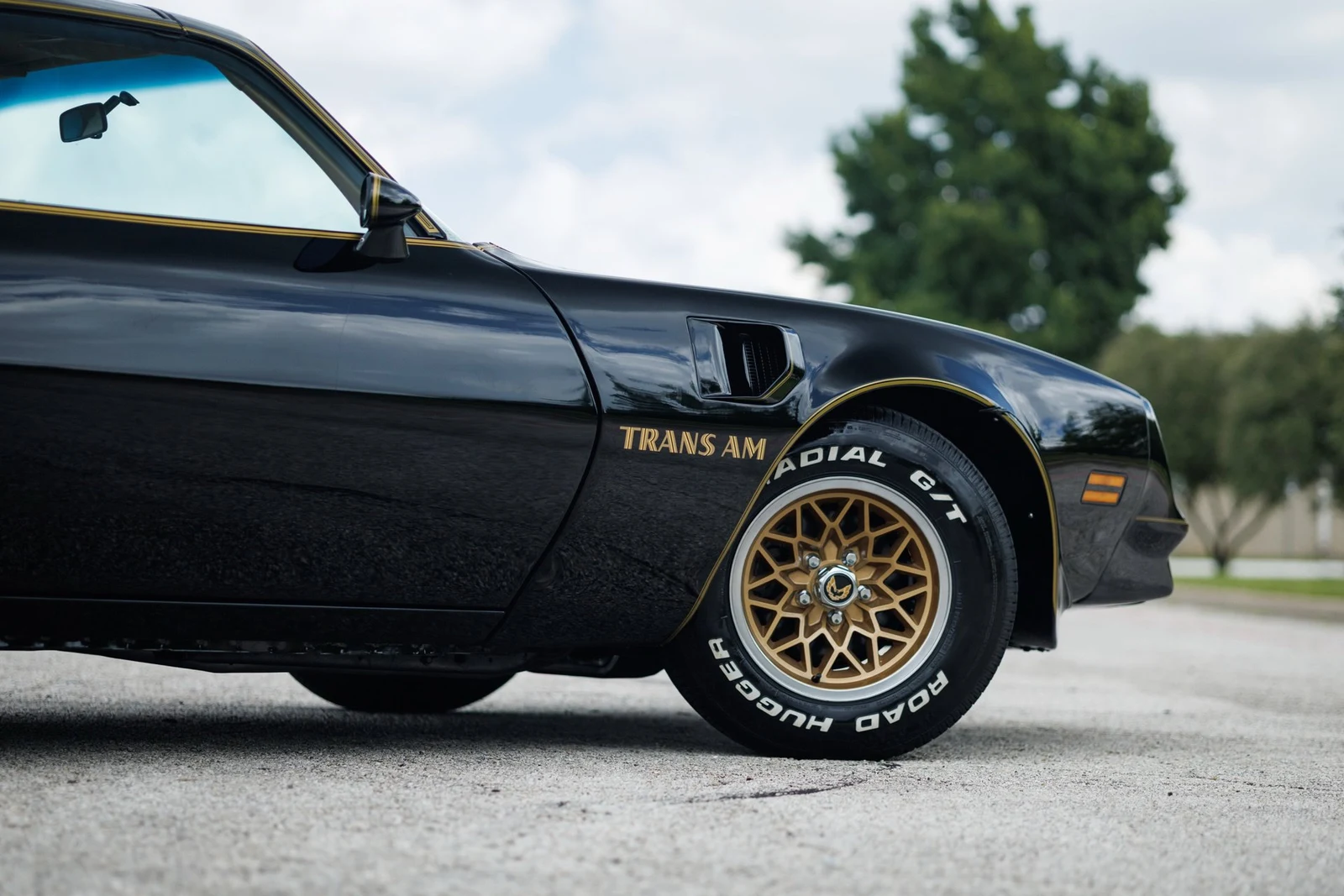 1978 Pontiac Firebird Trans Am (2nd Generation), 17/30