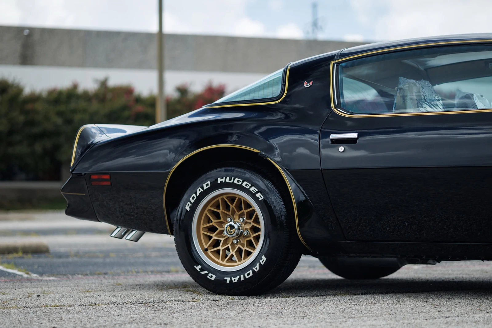 1978 Pontiac Firebird Trans Am (2nd Generation), 18/30