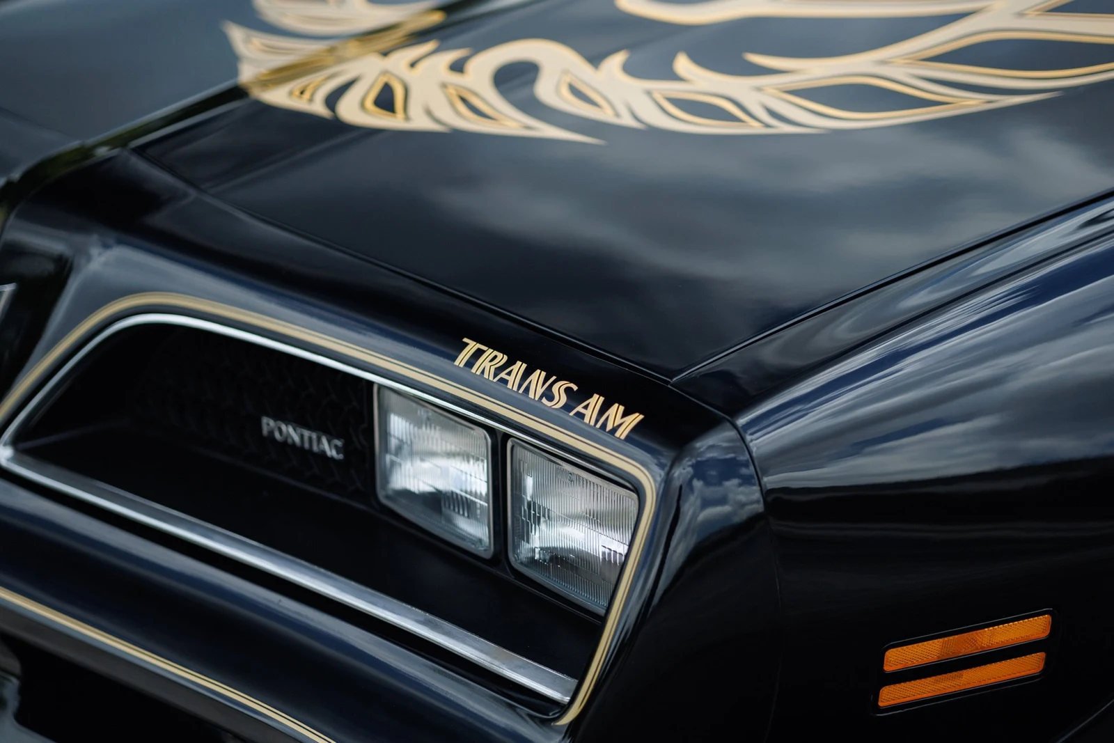 1978 Pontiac Firebird Trans Am (2nd Generation), 23/30