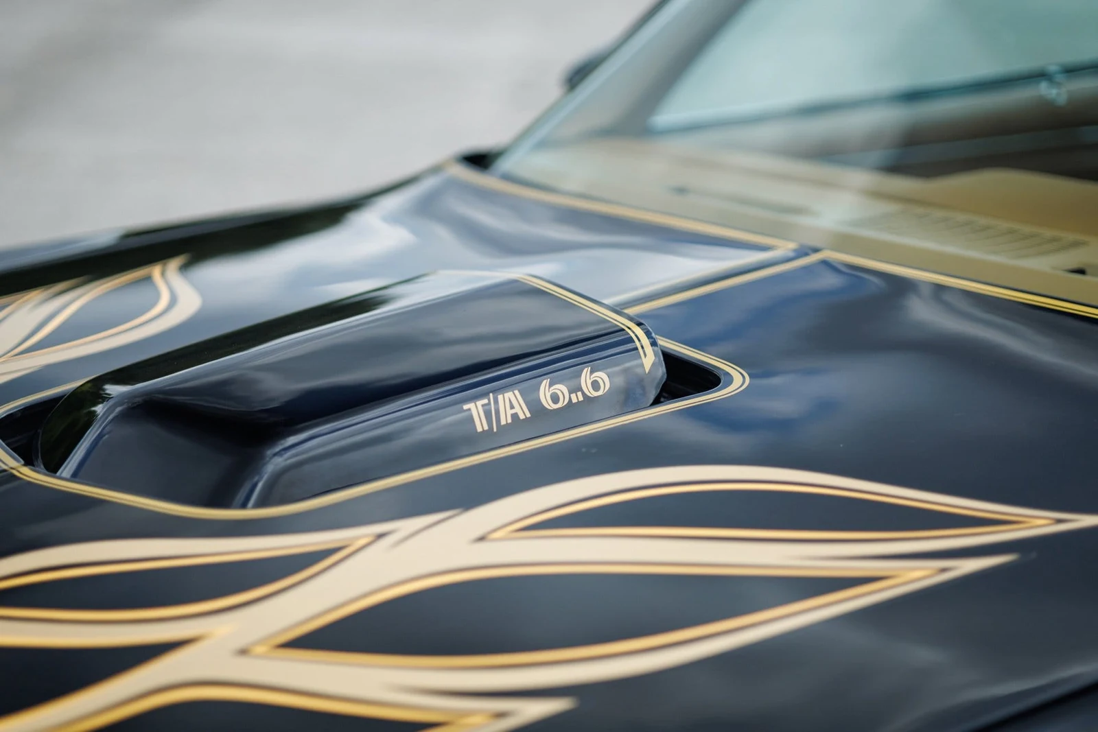 1978 Pontiac Firebird Trans Am (2nd Generation), 24/30
