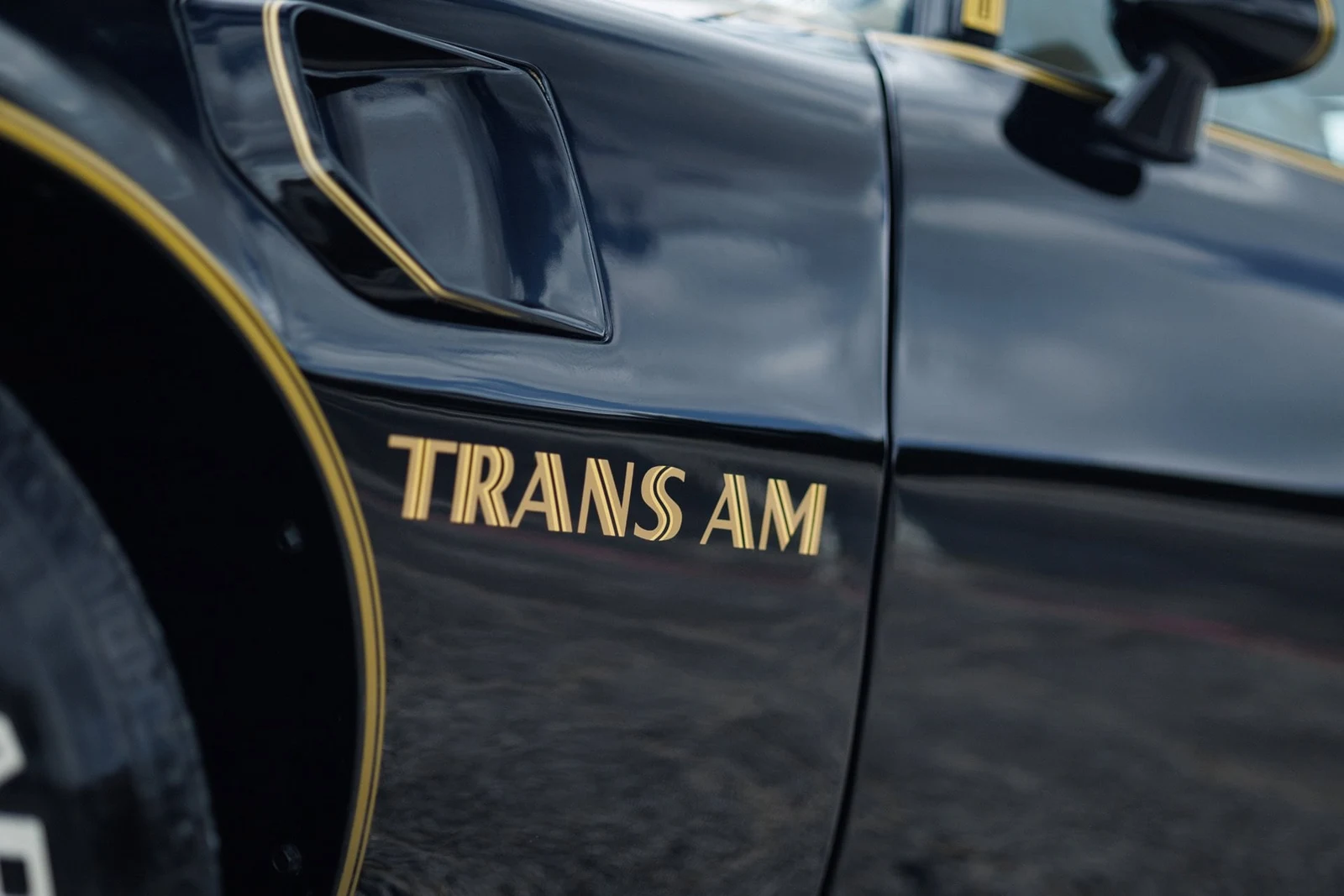 1978 Pontiac Firebird Trans Am (2nd Generation), 26/30