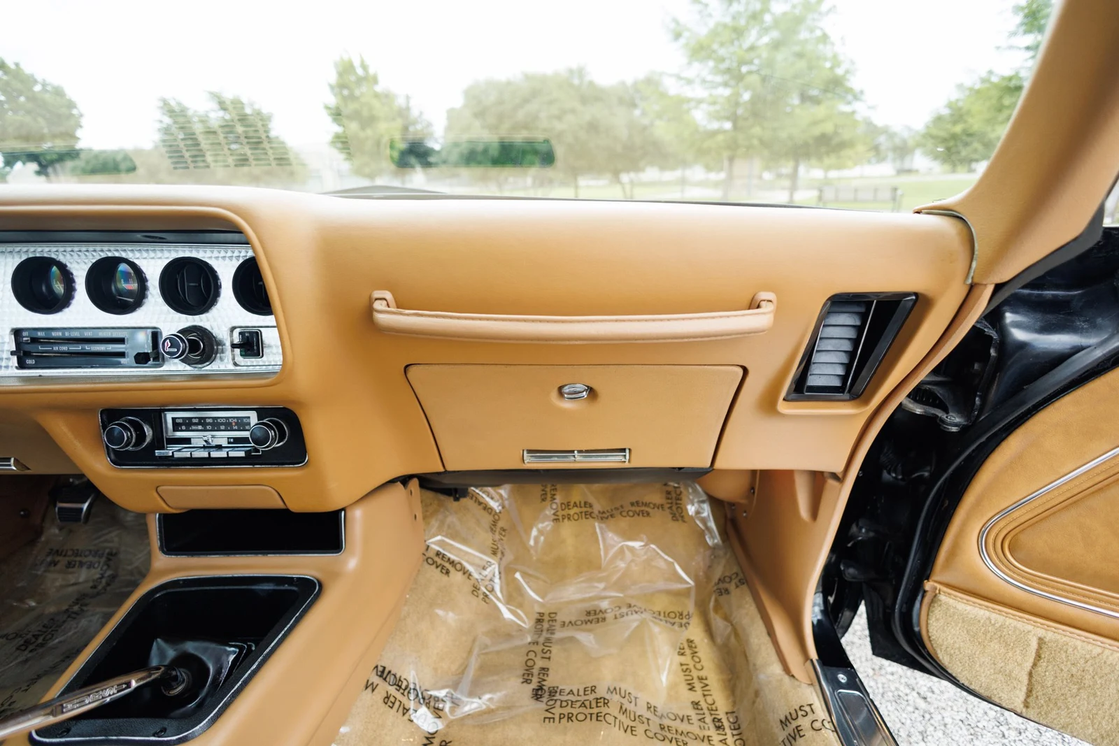 1978 Pontiac Firebird Trans Am (2nd Generation), 30/30