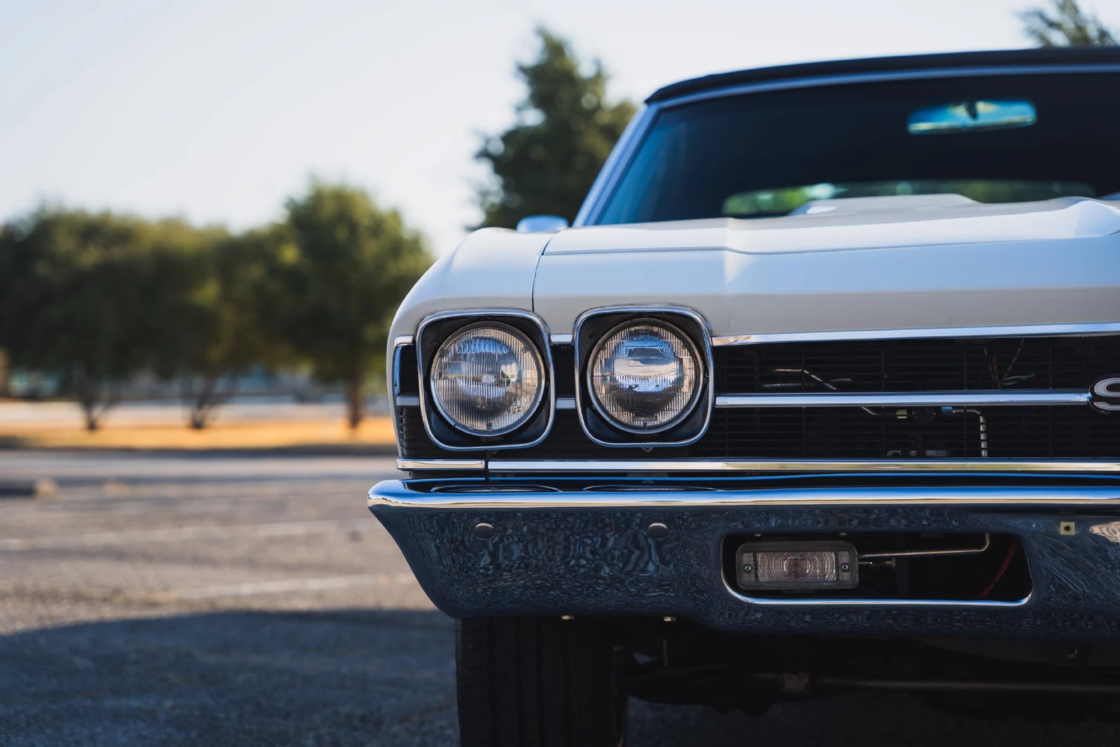1969 Chevrolet Chevelle (2nd Generation), 19/28
