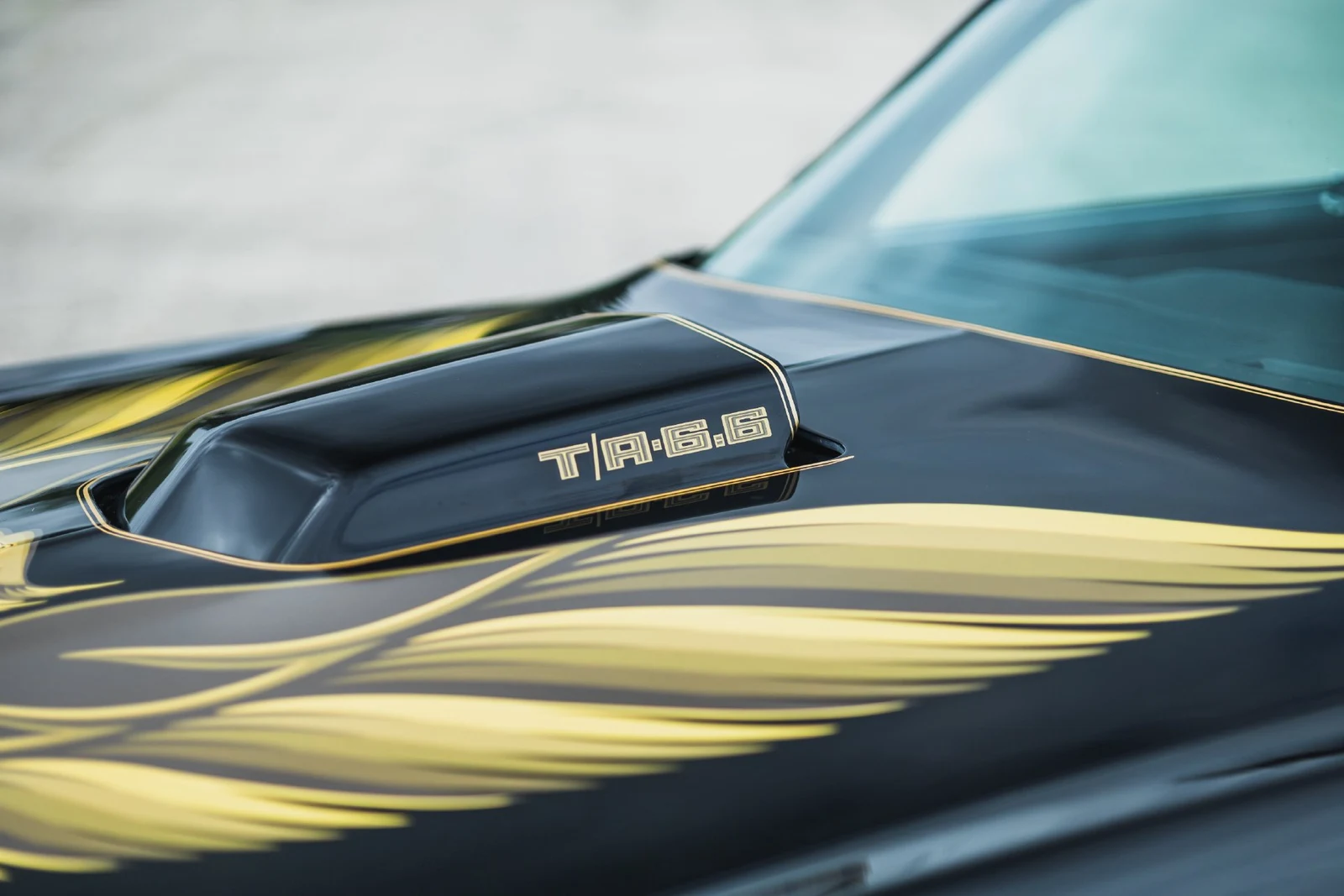 1979 Pontiac Firebird Trans Am (2nd Generation), 9/30