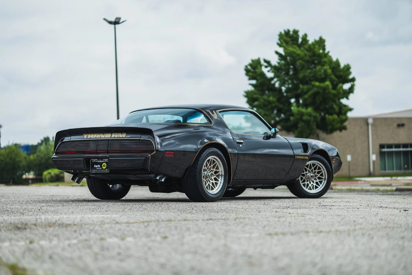 1979 Pontiac Firebird Trans Am (2nd Generation), 13/30