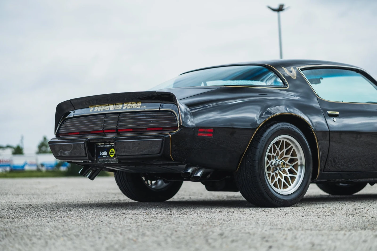 1979 Pontiac Firebird Trans Am (2nd Generation), 16/30