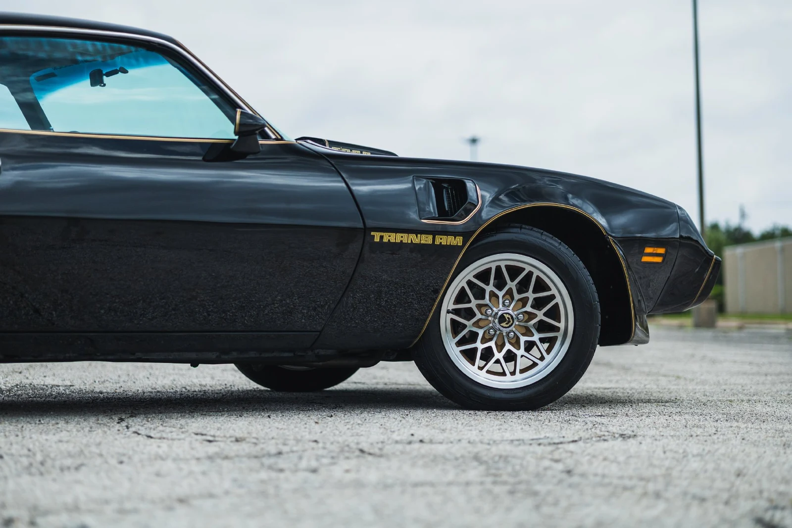 1979 Pontiac Firebird Trans Am (2nd Generation), 17/30