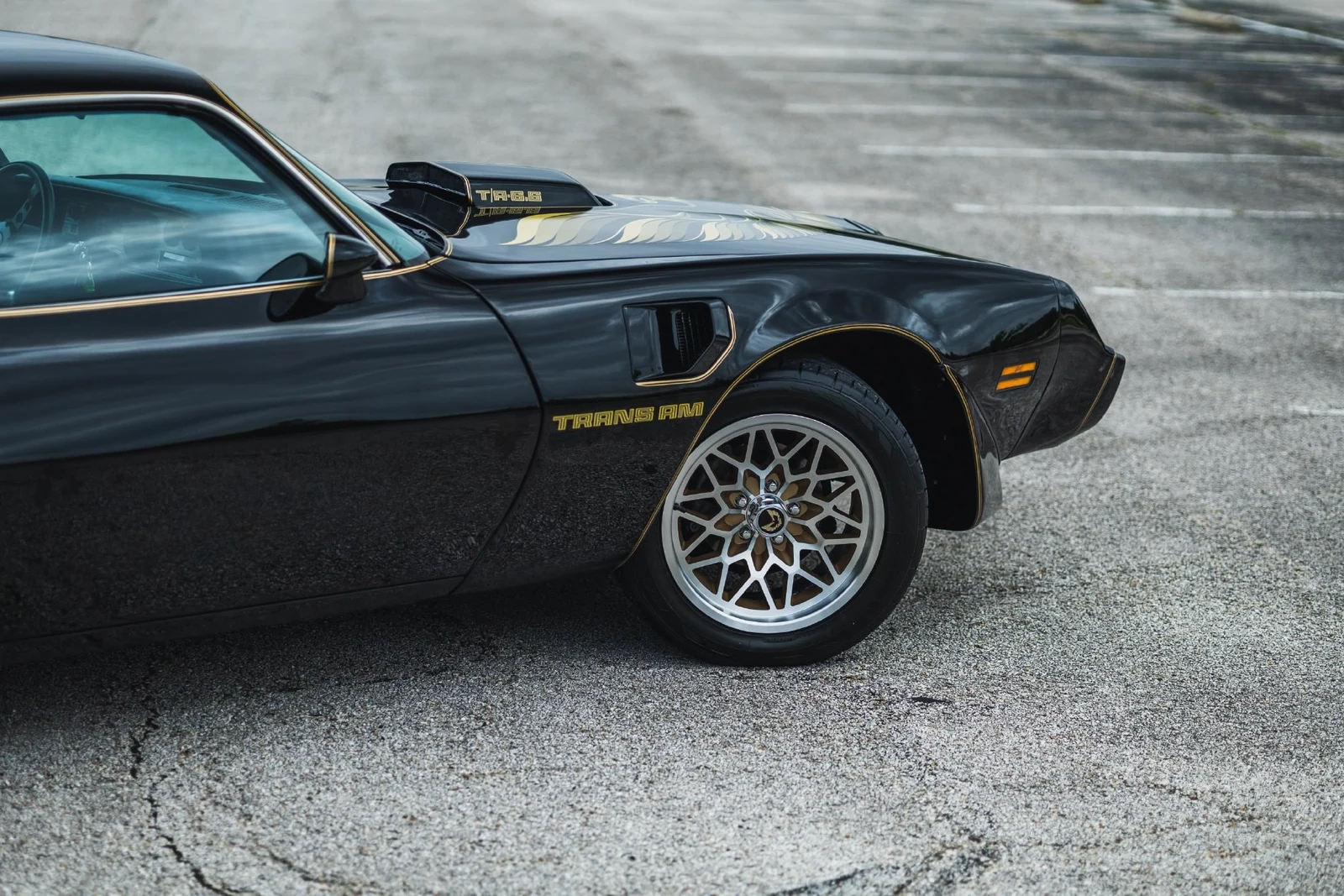 1979 Pontiac Firebird Trans Am (2nd Generation), 18/30