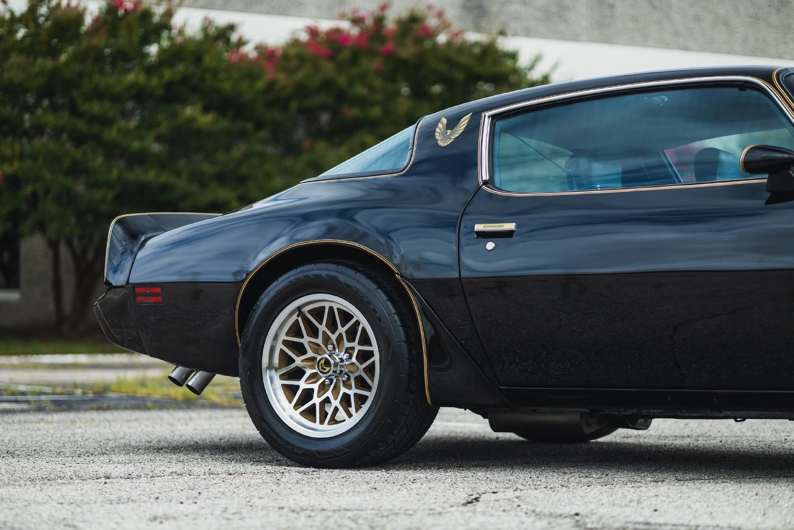 1979 Pontiac Firebird Trans Am (2nd Generation), 19/30