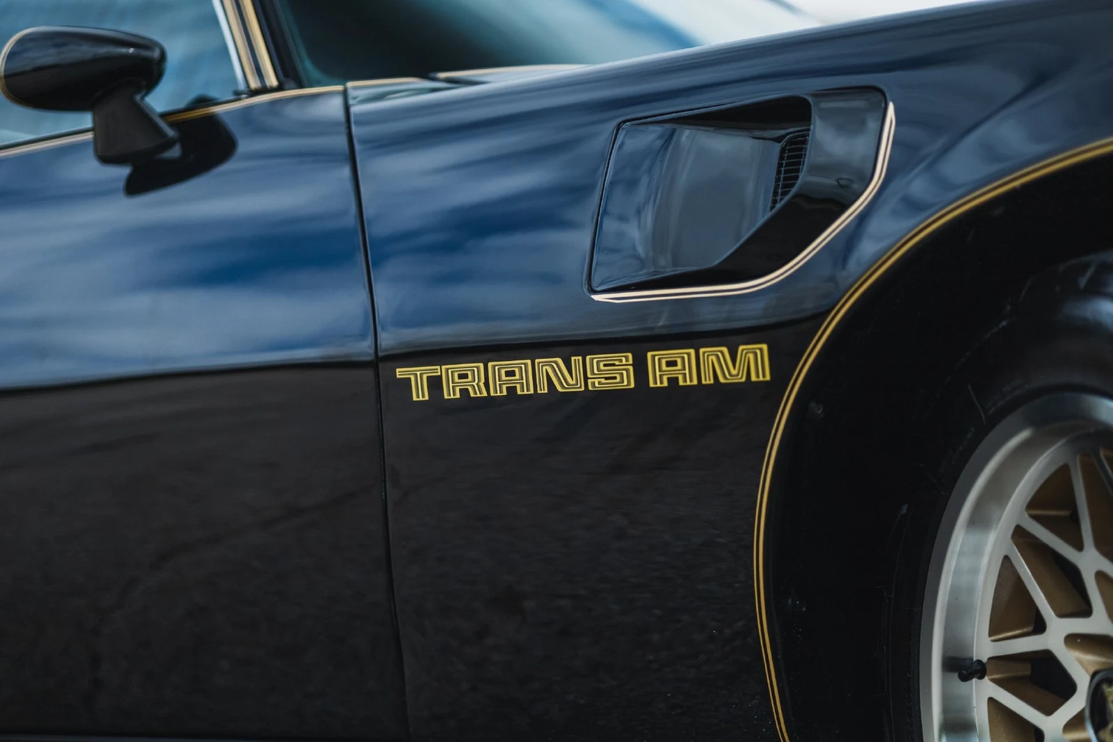 1979 Pontiac Firebird Trans Am (2nd Generation), 21/30