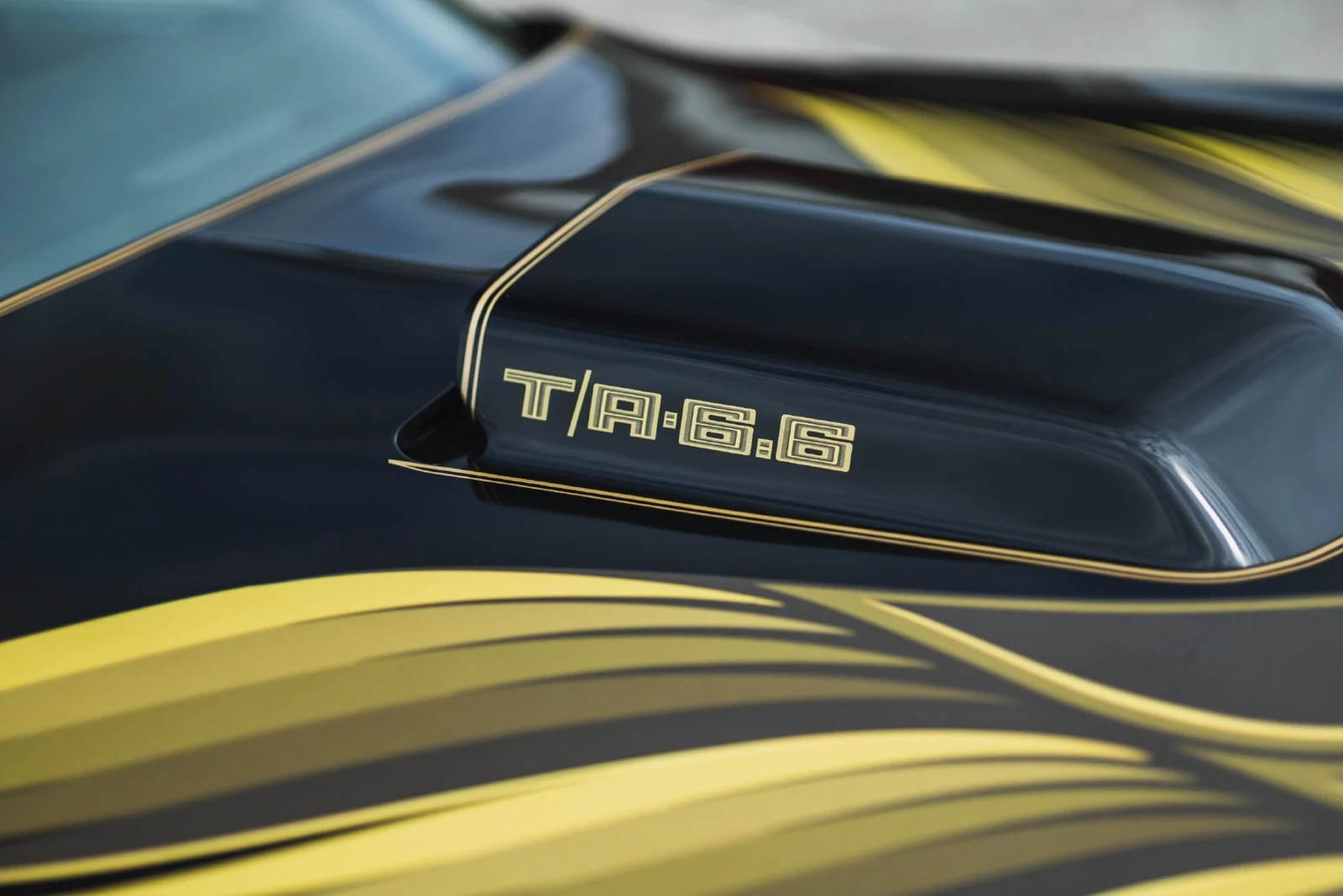1979 Pontiac Firebird Trans Am (2nd Generation), 24/30