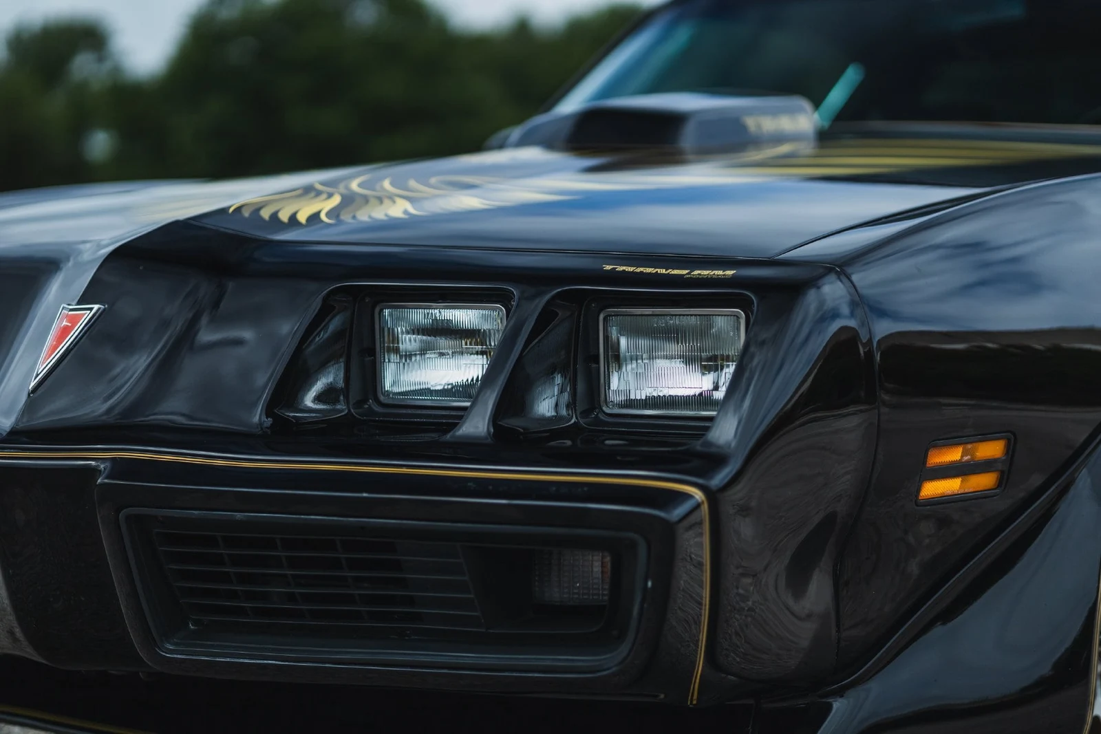 1979 Pontiac Firebird Trans Am (2nd Generation), 26/30
