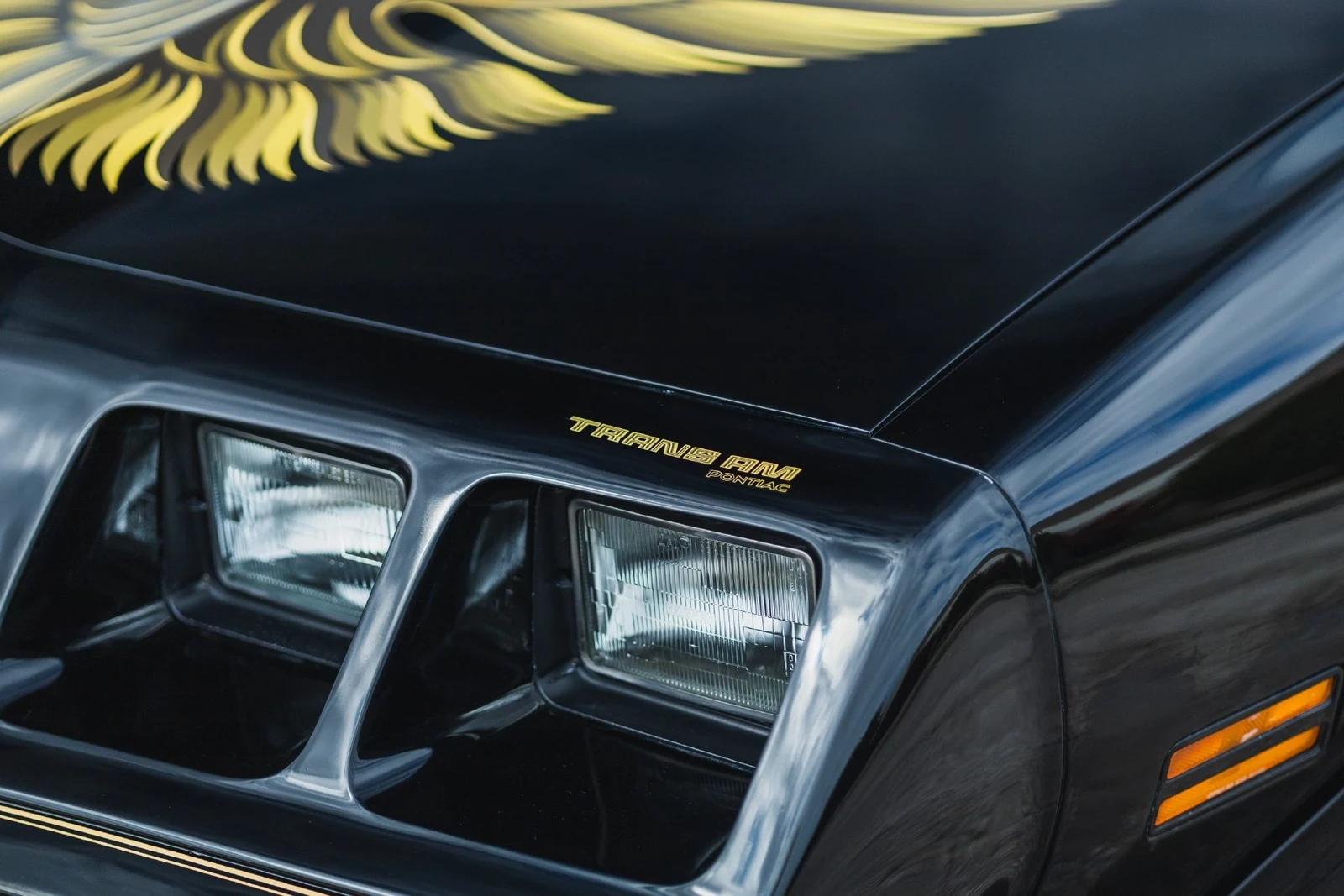 1979 Pontiac Firebird Trans Am (2nd Generation), 27/30