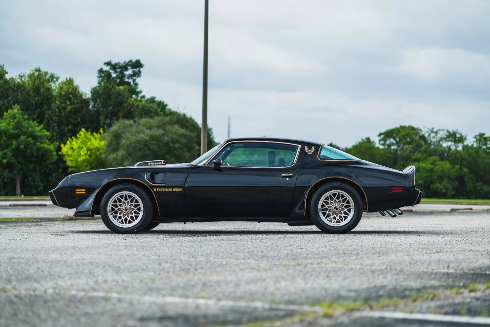 1979 Pontiac Firebird Trans Am (2nd Generation), 28/30