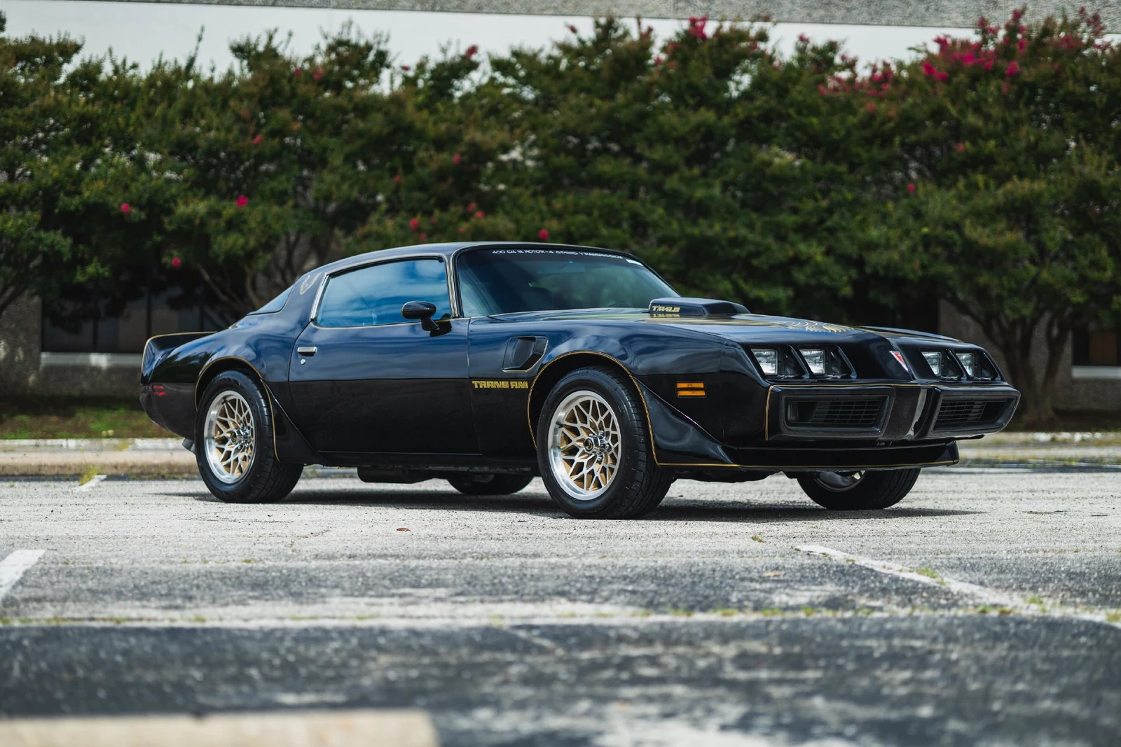 1979 Pontiac Firebird Trans Am (2nd Generation), 30/30