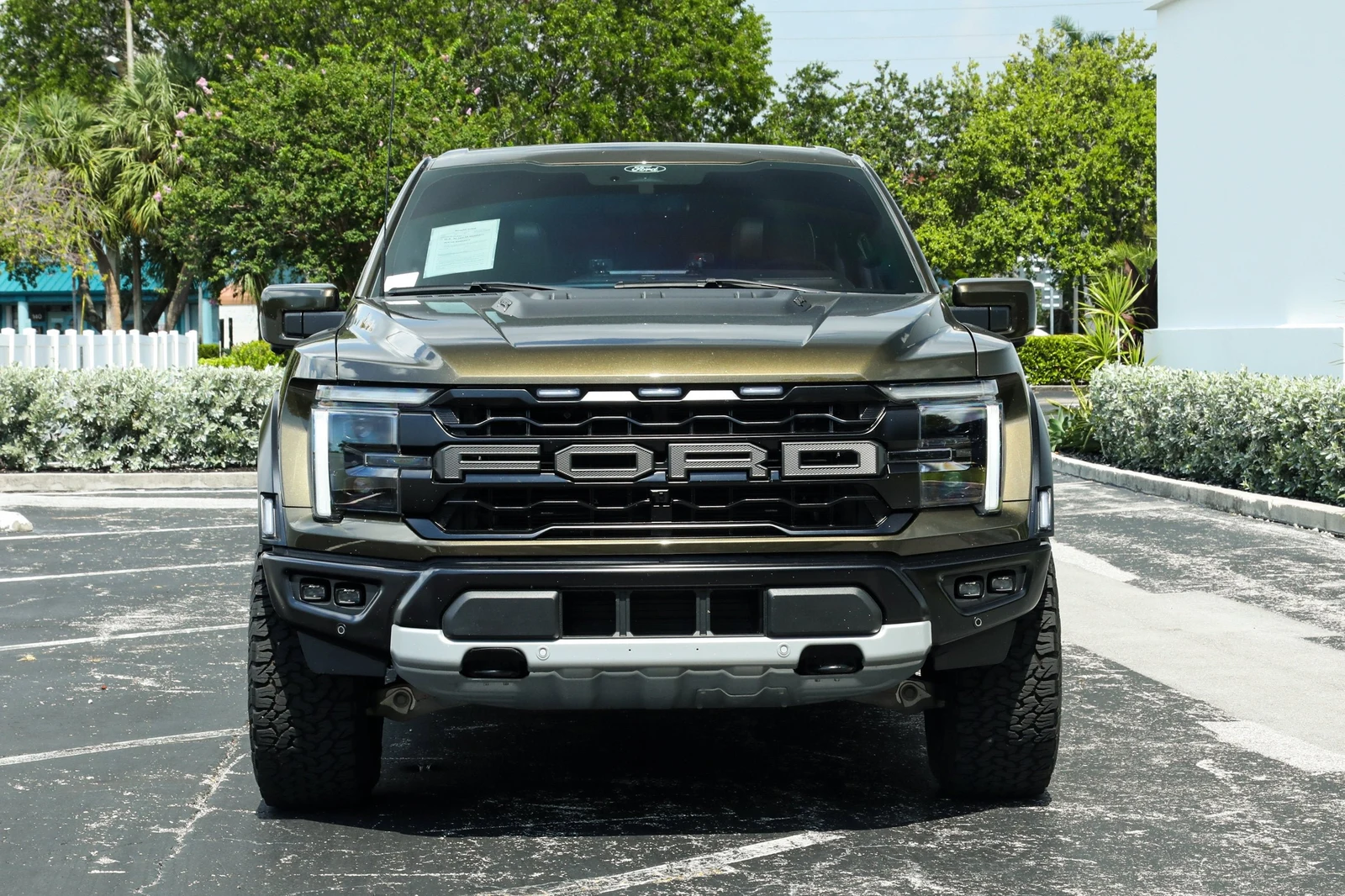 2025 Ford F-150 Raptor, 8/30