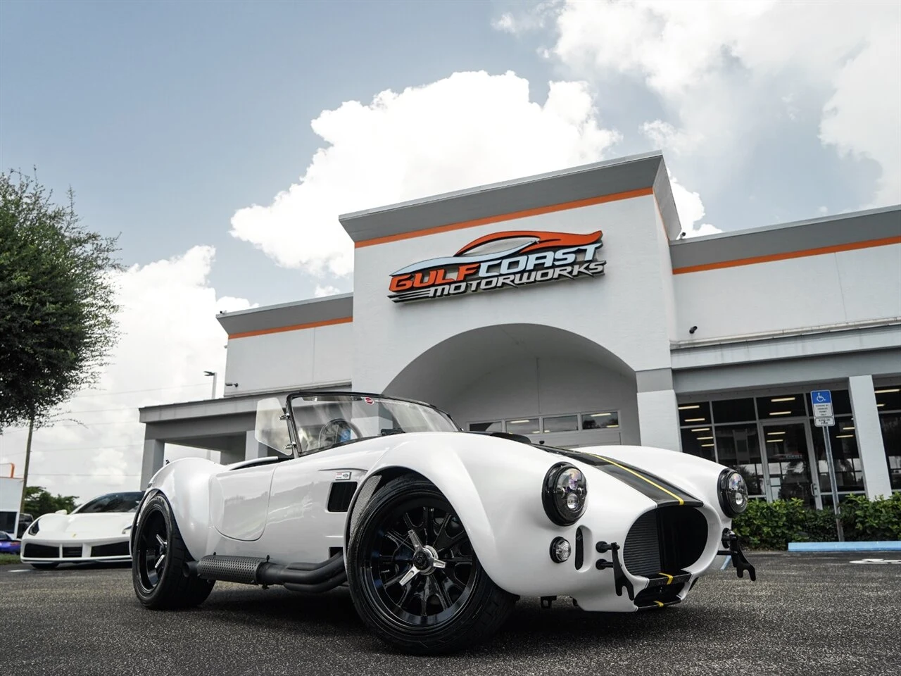 1965 Backdraft Racing Cobra Roadster, 2/30