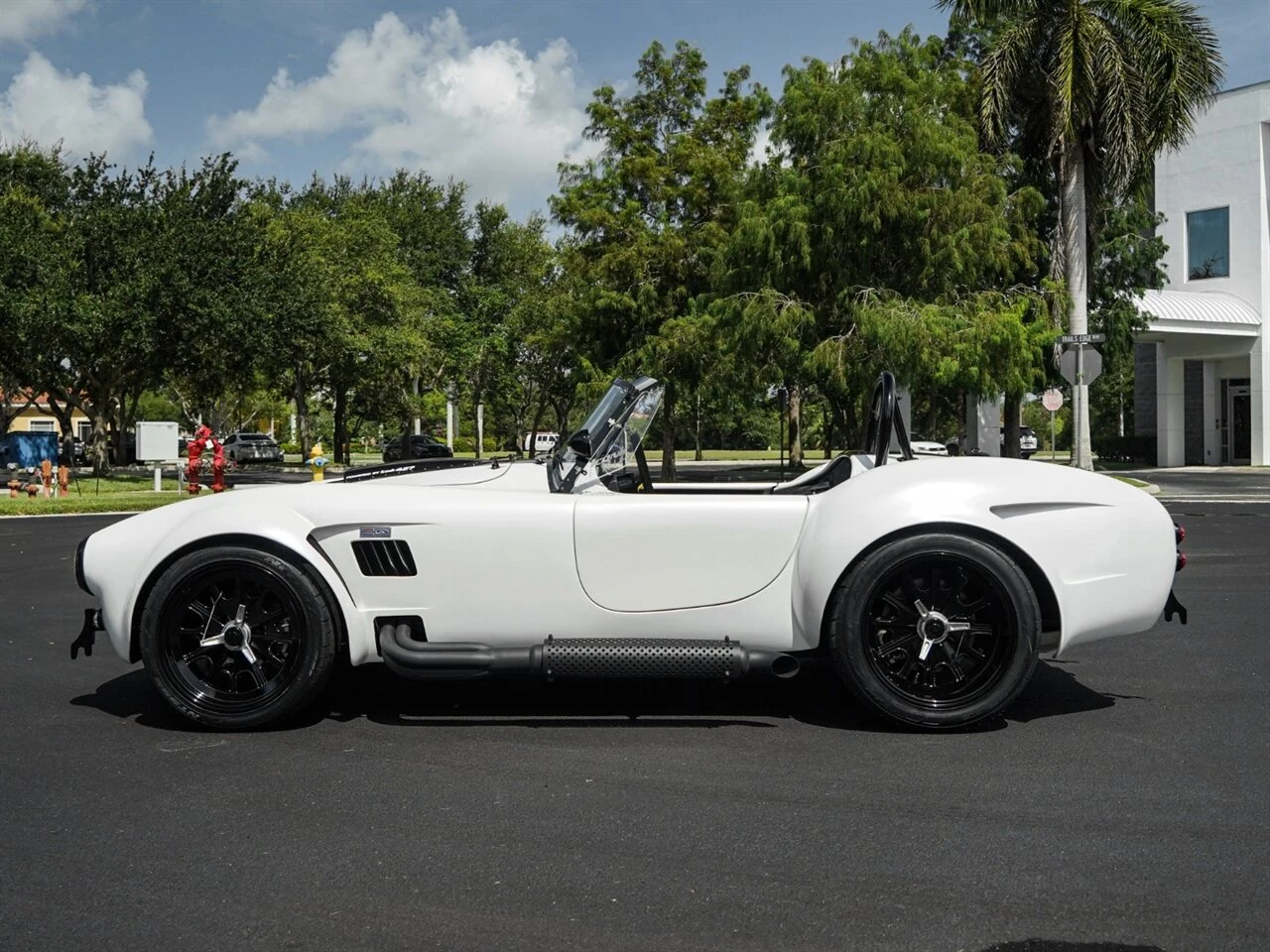 1965 Backdraft Racing Cobra Roadster, 20/30