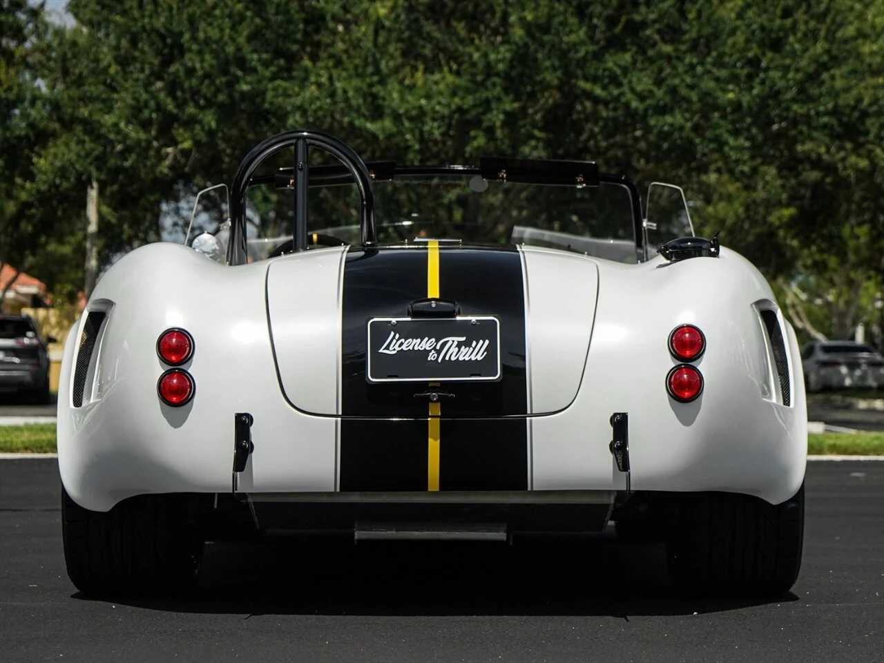 1965 Backdraft Racing Cobra Roadster, 25/30