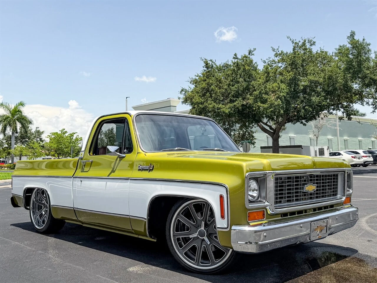 1983 Chevrolet C10, 29/30