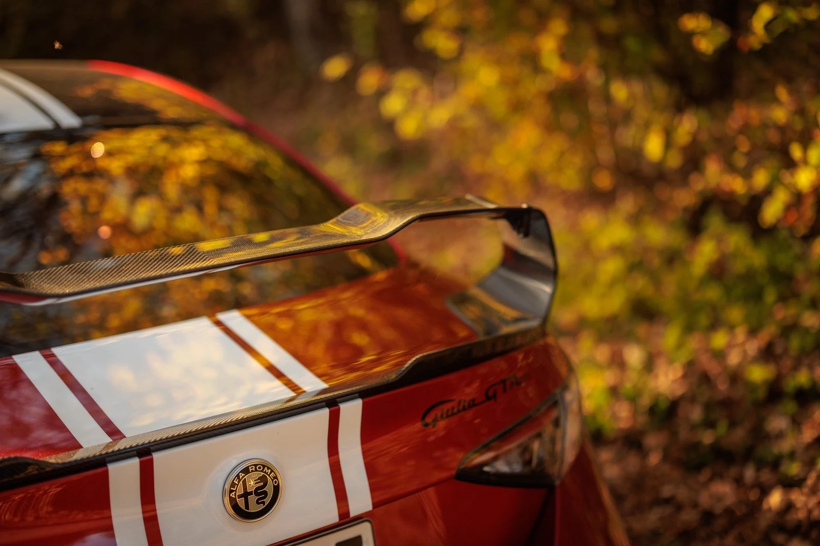 Alfa Romeo Giulia GTAm, 7/10
