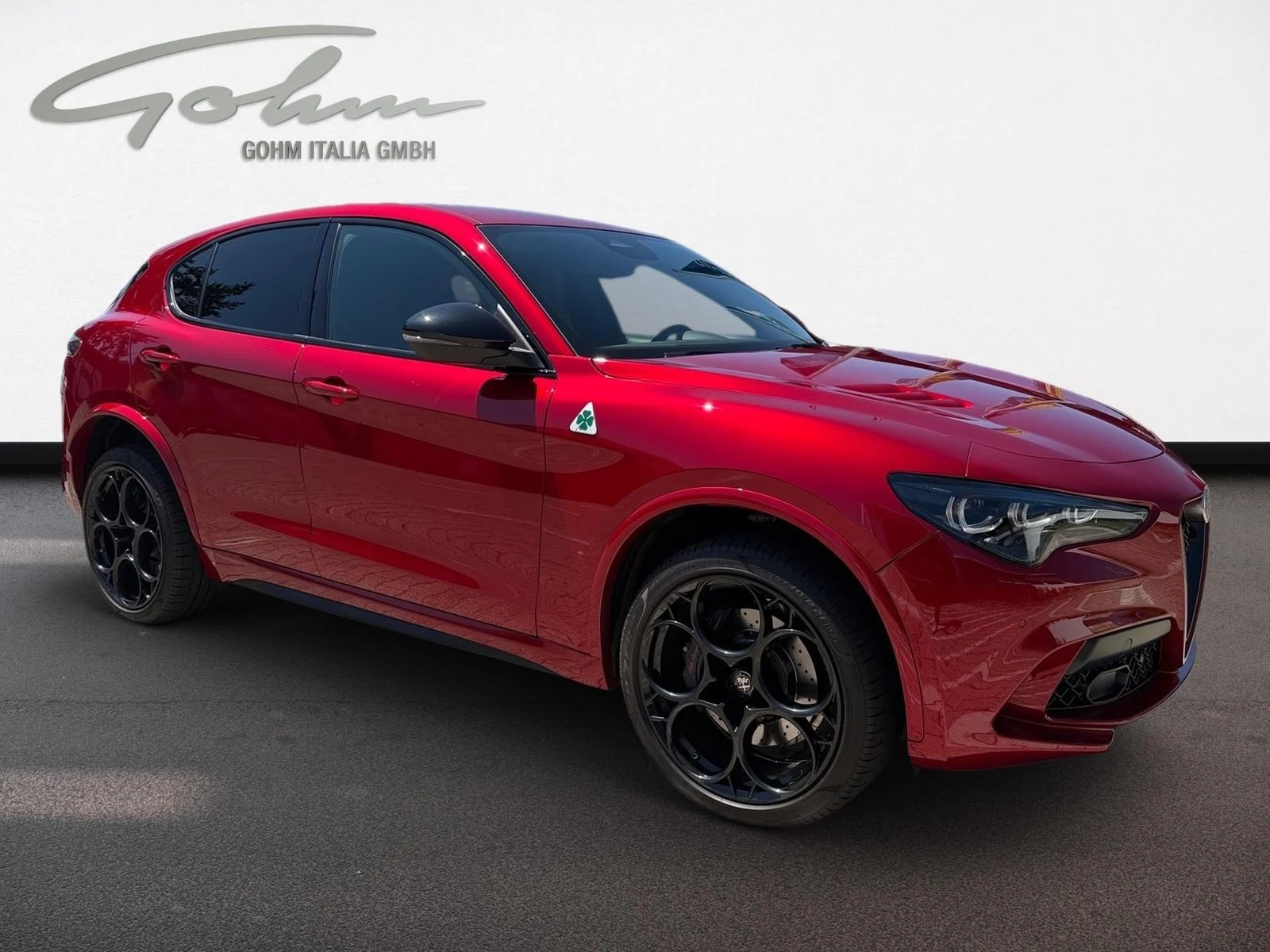 Alfa Romeo Stelvio Quadrifoglio Q4, 8/10