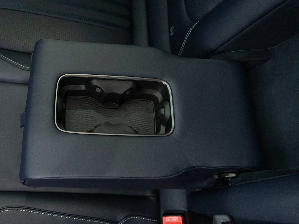 2026 Aston Martin DBX 707 interior, door panel, Dark Knight