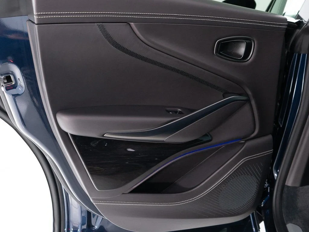 2026 Aston Martin DBX 707 interior, door panel, Metallic Black