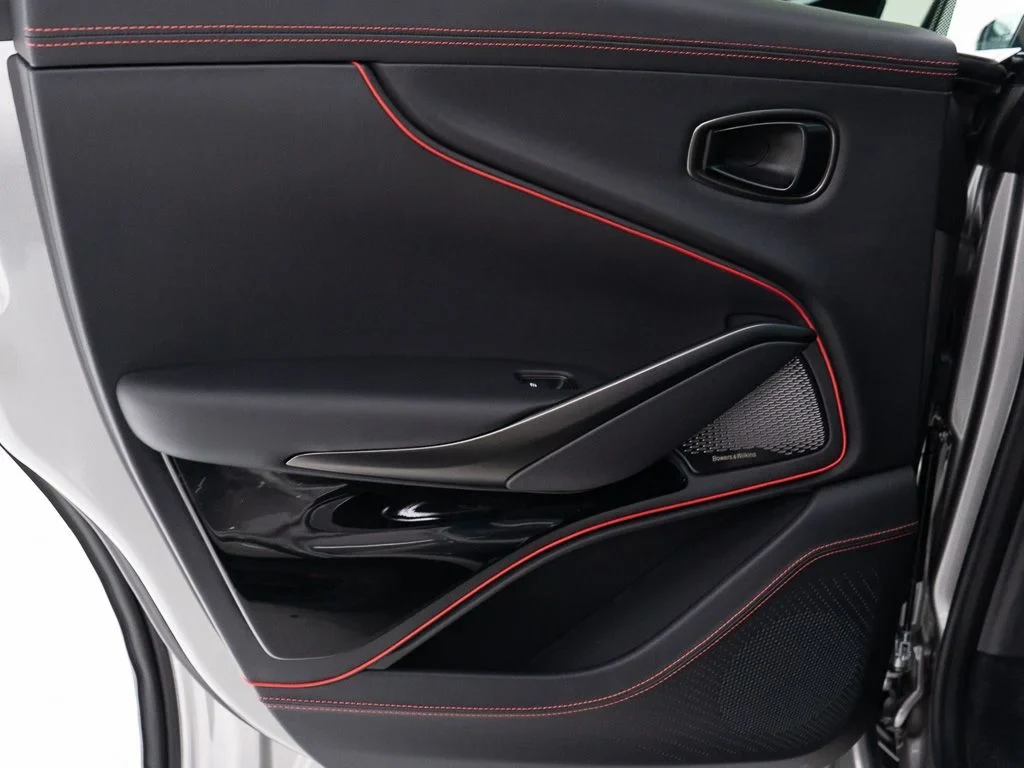 2026 Aston Martin DBX S interior, door panel