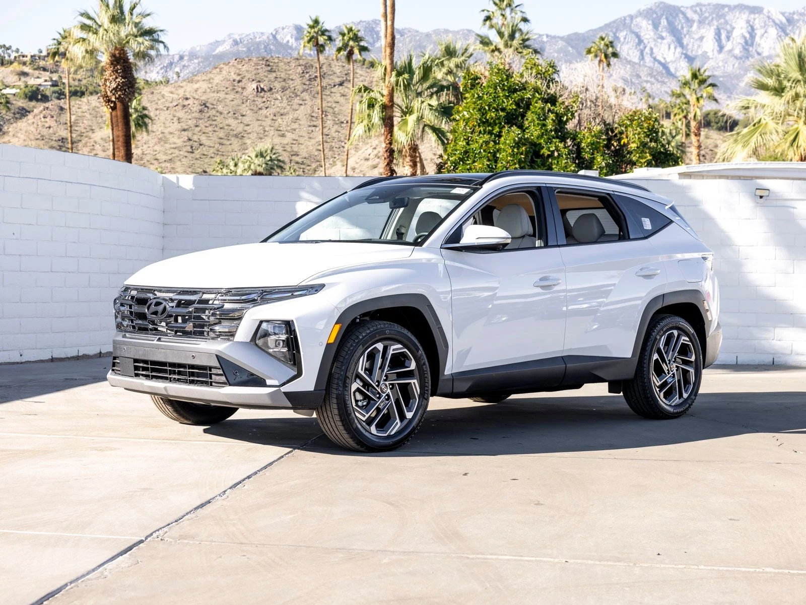 Hyundai Tucson Limited (2025 Update) · White Pearl · Indigo Auto Group