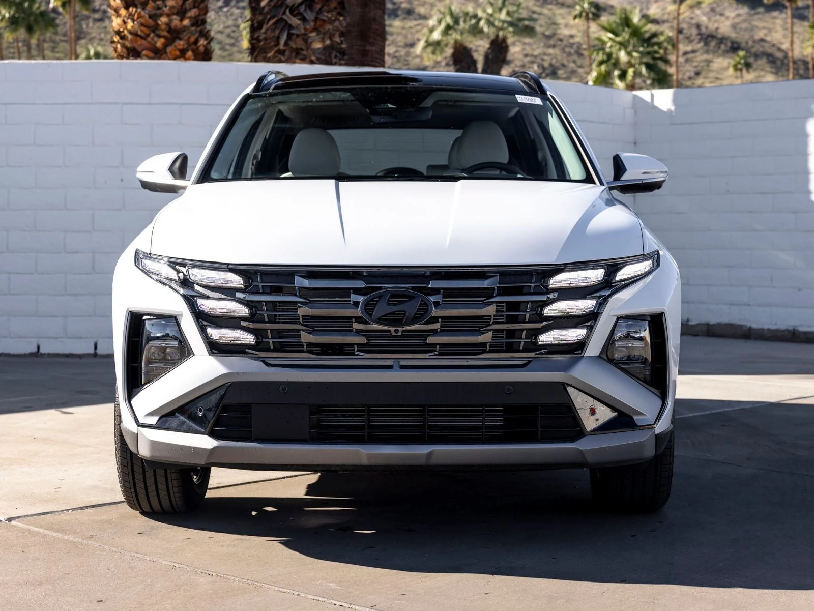 2025 Hyundai Tucson Limited (2025 Update), 4/20