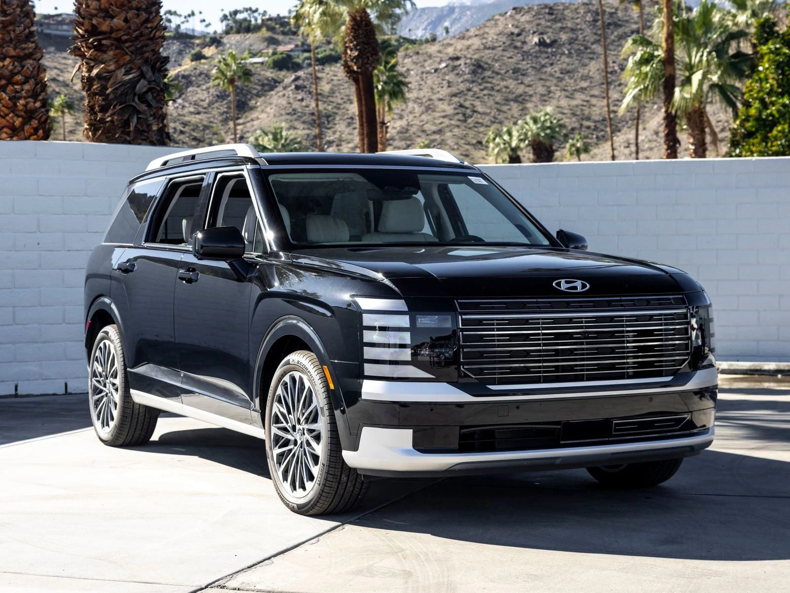 2026 Hyundai Palisade Calligraphy (LX3), 2/20