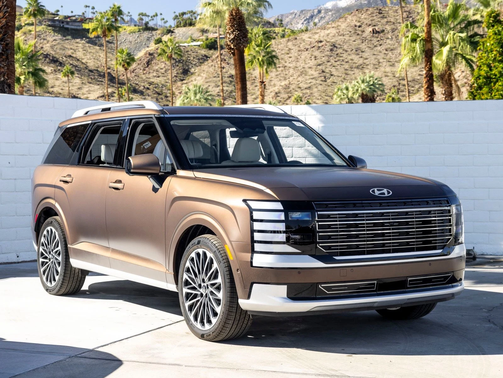 2026 Hyundai Palisade Calligraphy (LX3), 2/20