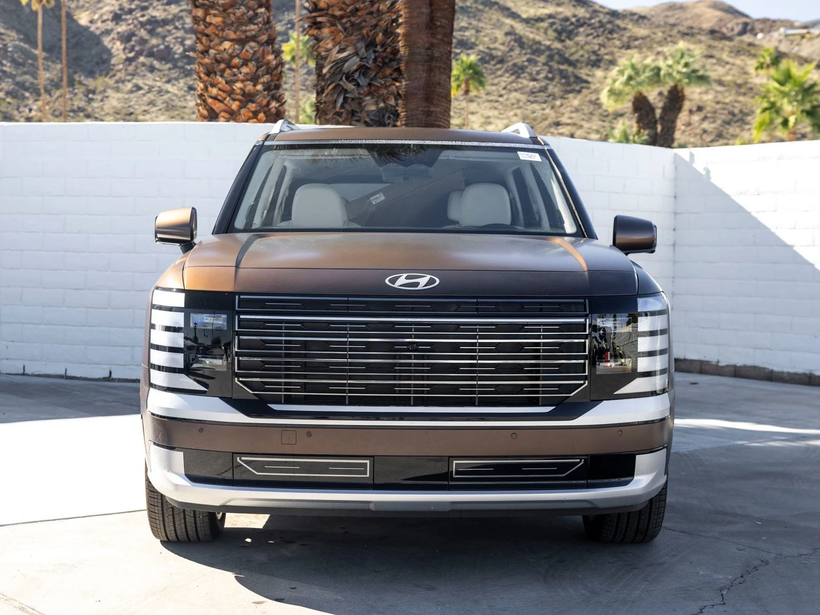 2026 Hyundai Palisade Calligraphy (LX3), 4/20