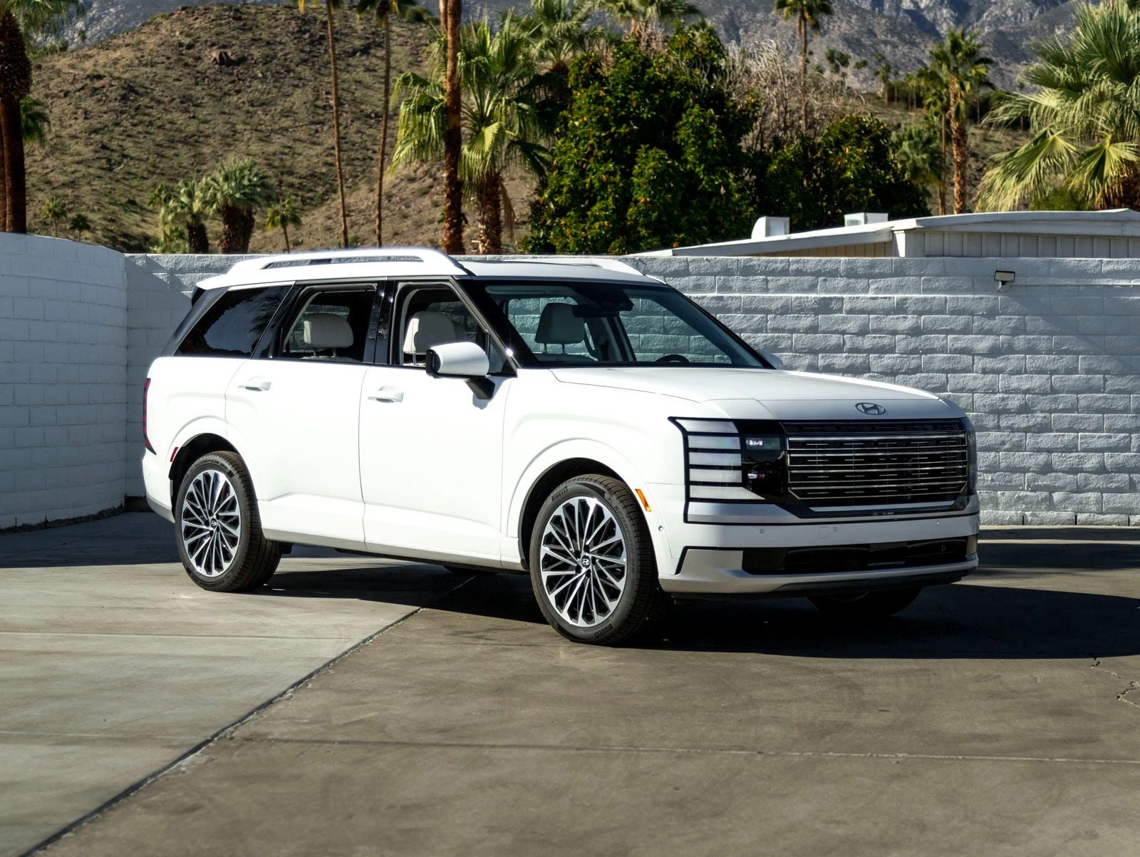 2026 Hyundai Palisade Calligraphy (LX3), 2/20