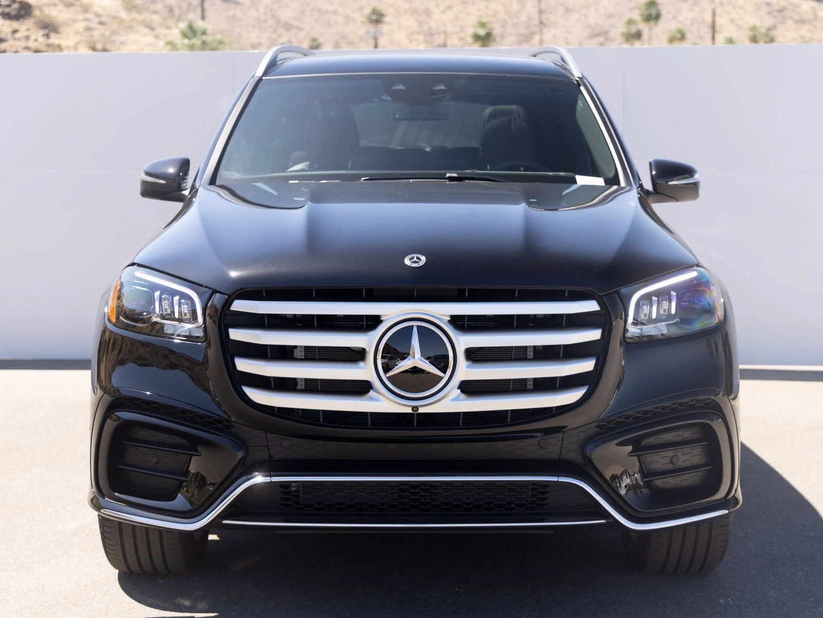 2026 Mercedes-Benz GLS 580 4MATIC (X167), 4/20