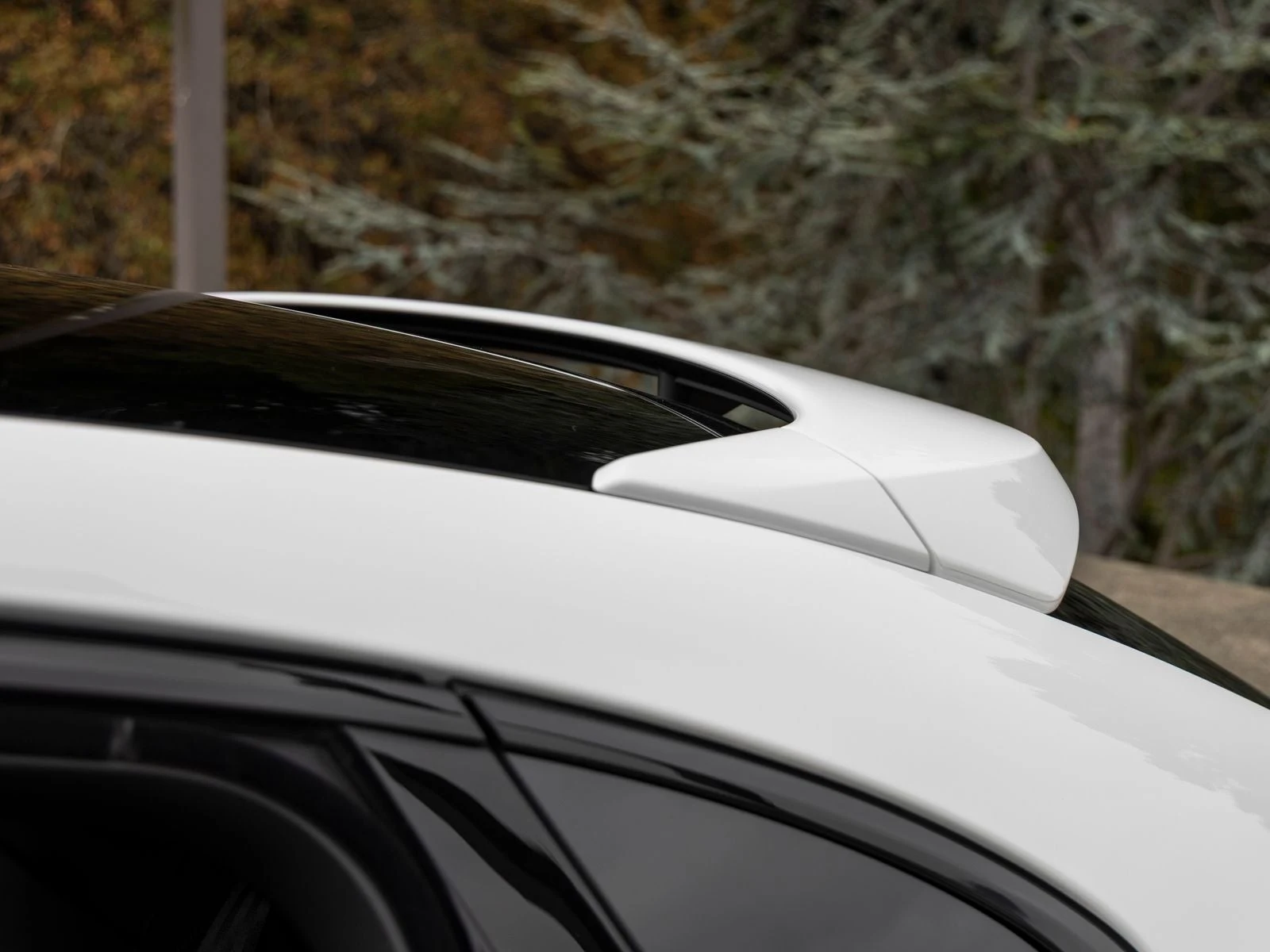 2026 Porsche Cayenne Coupé (3rd Generation), 20/20